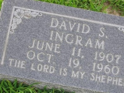 David S. Ingram on Sysoon