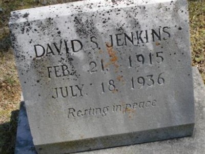 David S Jenkins on Sysoon