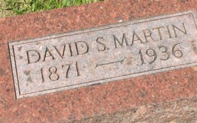 David S. Martin on Sysoon