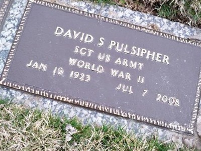 David S Pulsipher on Sysoon