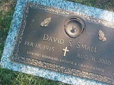 David S. Small on Sysoon