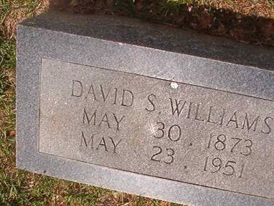 David S Williams on Sysoon