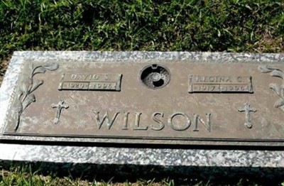 David S. Wilson on Sysoon
