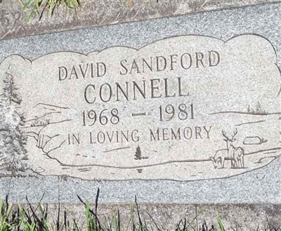 David Sandford Connell on Sysoon