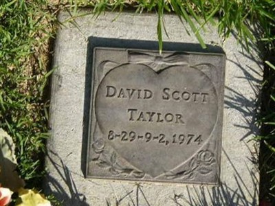 David Scott Taylor on Sysoon