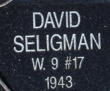 David Seligman on Sysoon