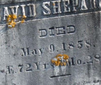 David Shepard on Sysoon