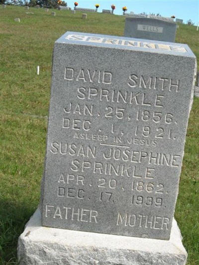 David Smith Sprinkle on Sysoon