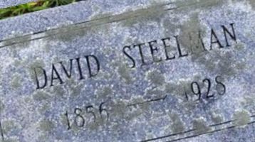 David Steelman on Sysoon