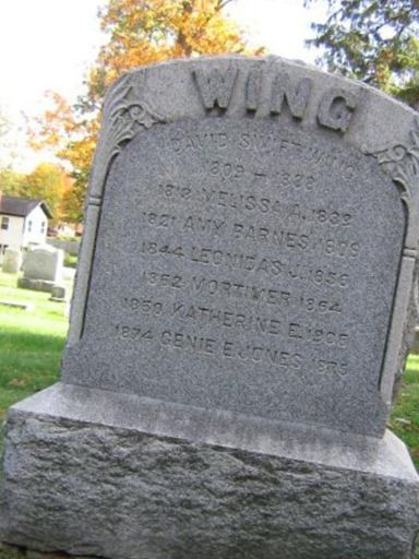 David Swift Wing on Sysoon