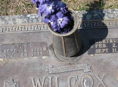David T. Wilcox on Sysoon