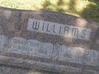 David T Williams on Sysoon