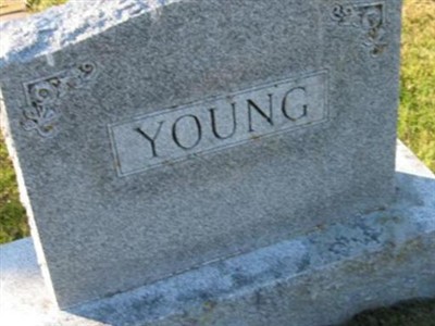 David T. Young on Sysoon