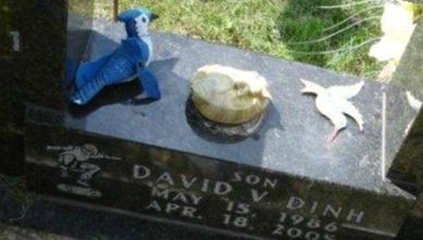David V Dinh on Sysoon