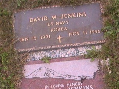 David W Jenkins on Sysoon