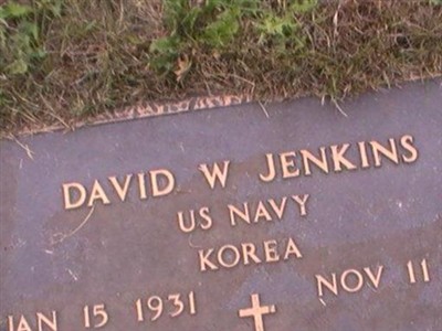 David W Jenkins on Sysoon