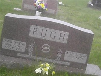 David Wayne Pugh on Sysoon