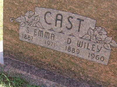 David Wiley Cast on Sysoon