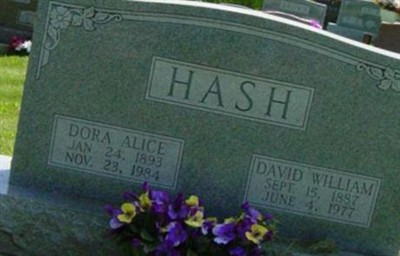 David William Hash on Sysoon