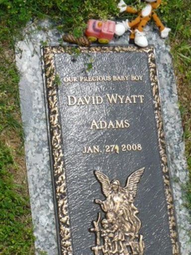 David Wyatt Adams on Sysoon