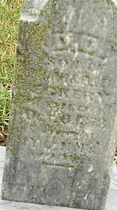 D. D. Ecker on Sysoon