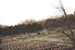 De Panne Cemetery on Sysoon