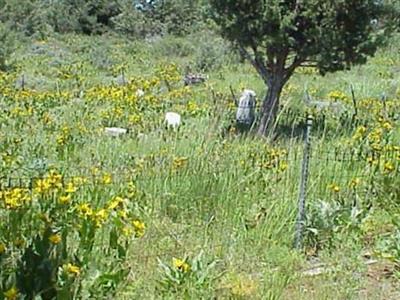 Delamar Cemetery on Sysoon