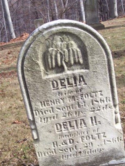 Delia H Foltz on Sysoon