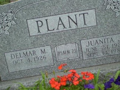 Delmar M Plant on Sysoon