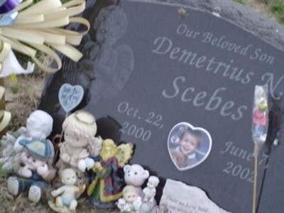 Demetrius Nicholas Scebes on Sysoon