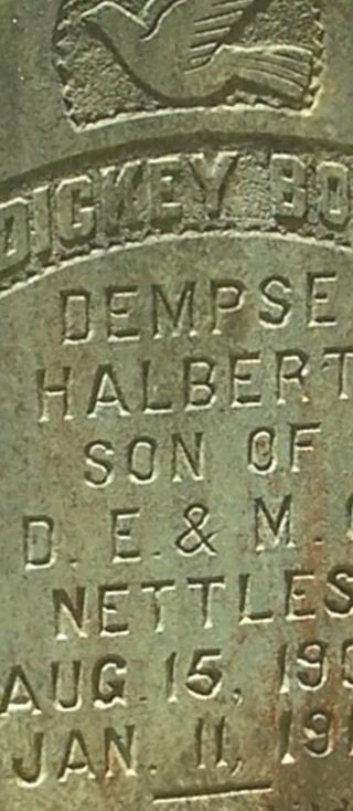 Dempsy Halbert "Dickey Boy" Nettles on Sysoon