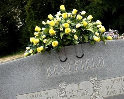 Destie A. Benefield on Sysoon