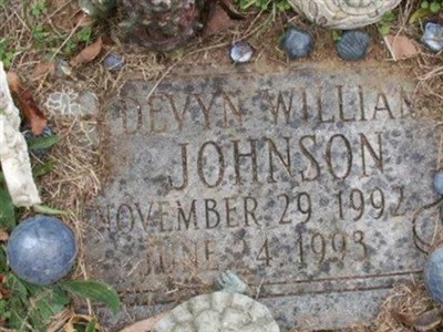 Devyn William Johnson on Sysoon