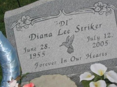 Diana "Di" Lee Striker on Sysoon