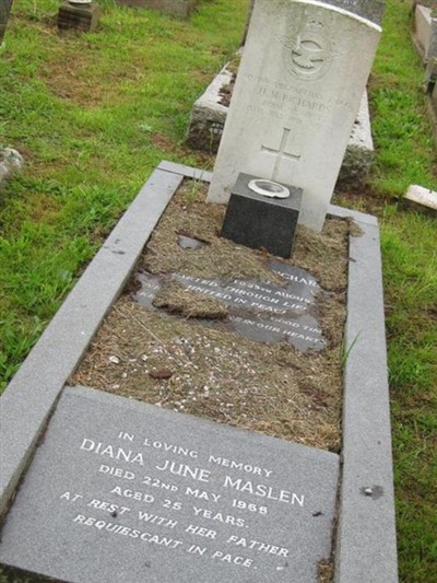Diana June Maslen on Sysoon