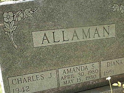 Diana L Allaman on Sysoon