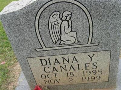 Diana Y. Canales on Sysoon