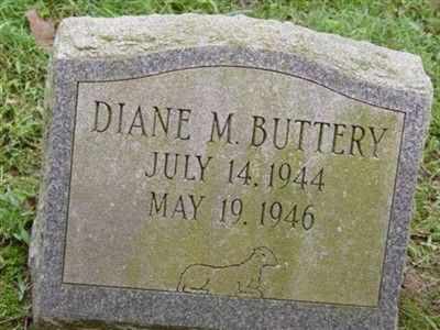 Diane M. Buttery on Sysoon