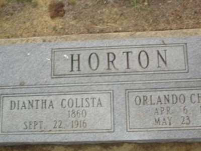 Diantha Colista Mnu Horton on Sysoon