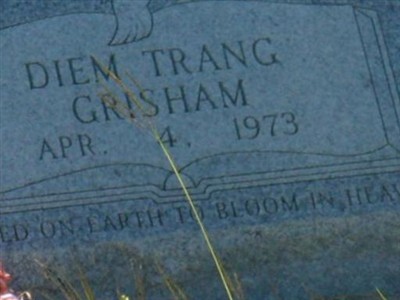 Diem Trang Grisham on Sysoon