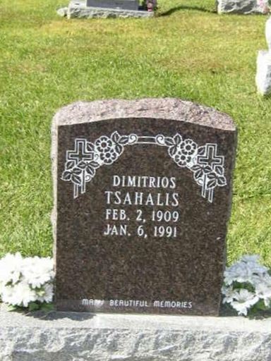 Dimitrios Tsahalis on Sysoon