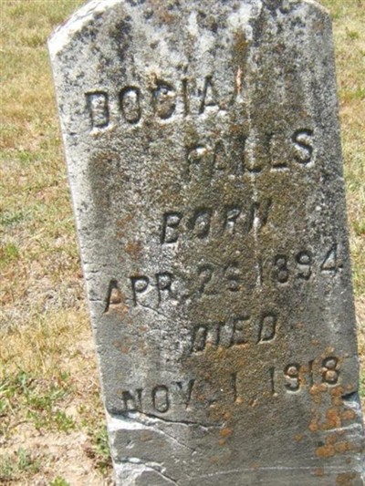 Docia Falls on Sysoon