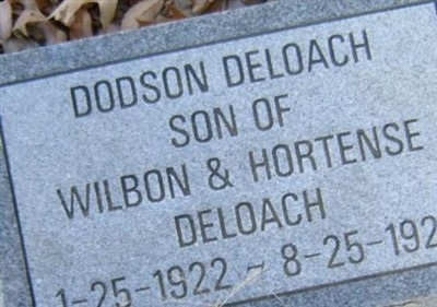 Dodson DeLoach on Sysoon