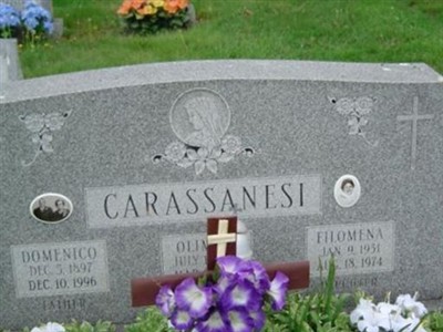 Domenico Carassanesi on Sysoon