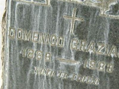 Domenico Graziano on Sysoon
