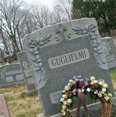 Domenico Guglielmi on Sysoon
