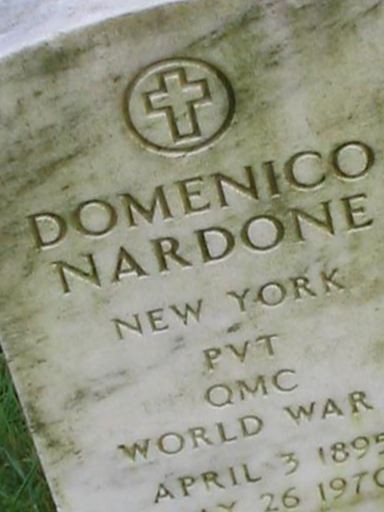 Domenico Nardone on Sysoon
