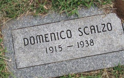Domenico Scalzo on Sysoon
