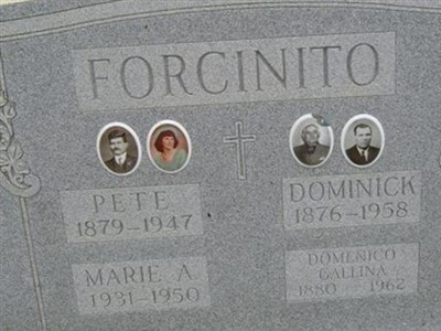 Dominick Forcinito on Sysoon