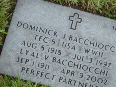 Dominick J Bacchiocchi on Sysoon
